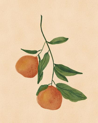 Botanical Serenity: Watercolor Citrus Branch – Modern Frameless Wall Art