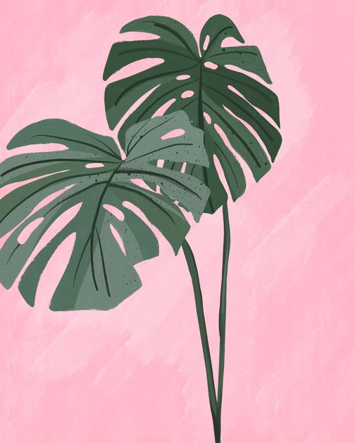 Tropical Blush: Monstera Leaves – Modern Frameless Wall Art