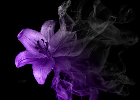 Ethereal Bloom: Purple Lily Smoke – Modern Frameless Wall Art