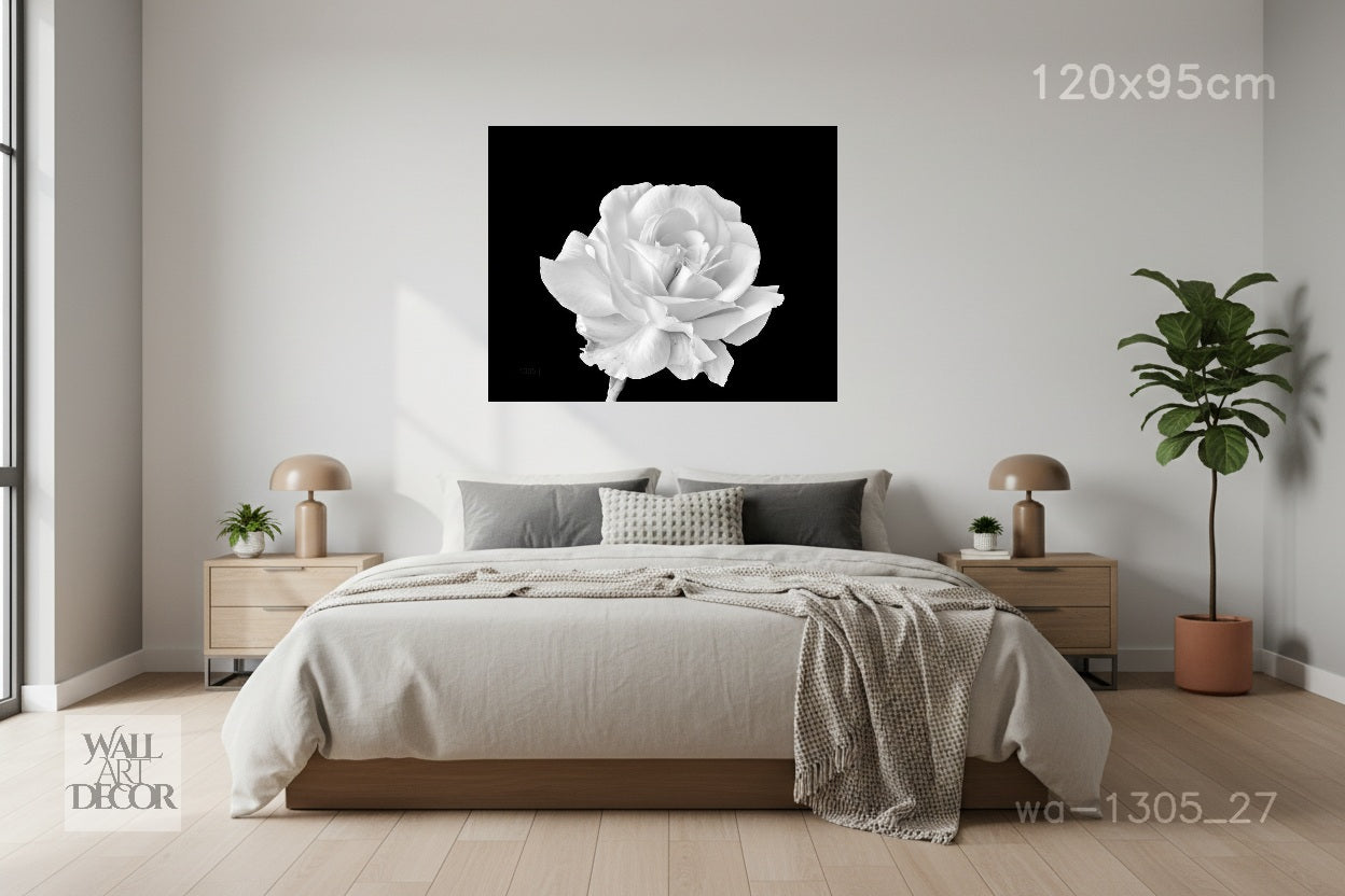 Monochrome Bloom: White Rose on Obsidian – Modern Frameless Wall Art