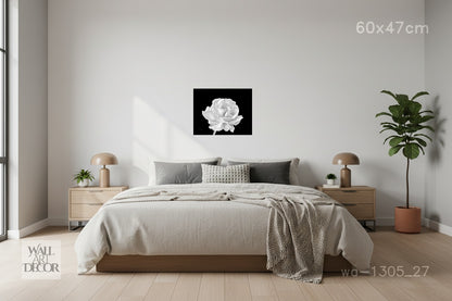 Monochrome Bloom: White Rose on Obsidian – Modern Frameless Wall Art