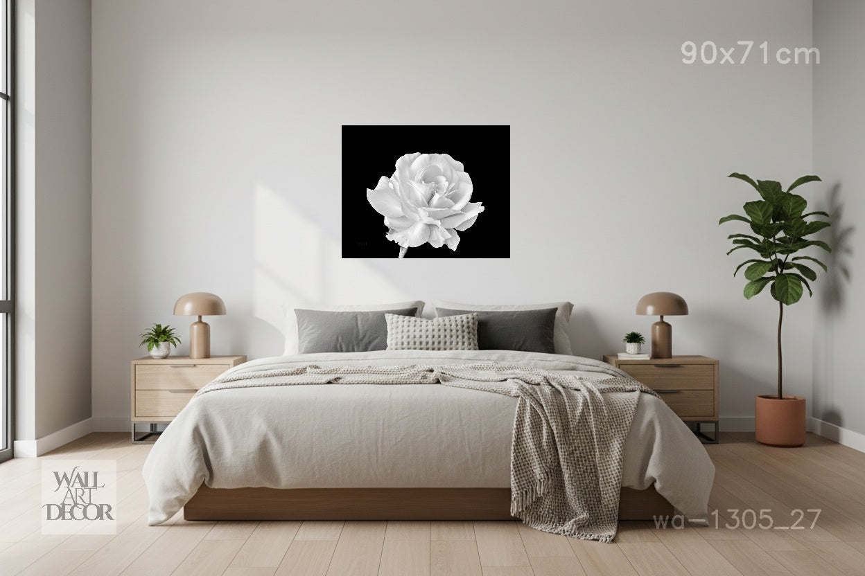 Monochrome Bloom: White Rose on Obsidian – Modern Frameless Wall Art